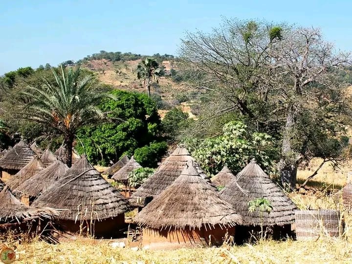 Excursiones en Senegal