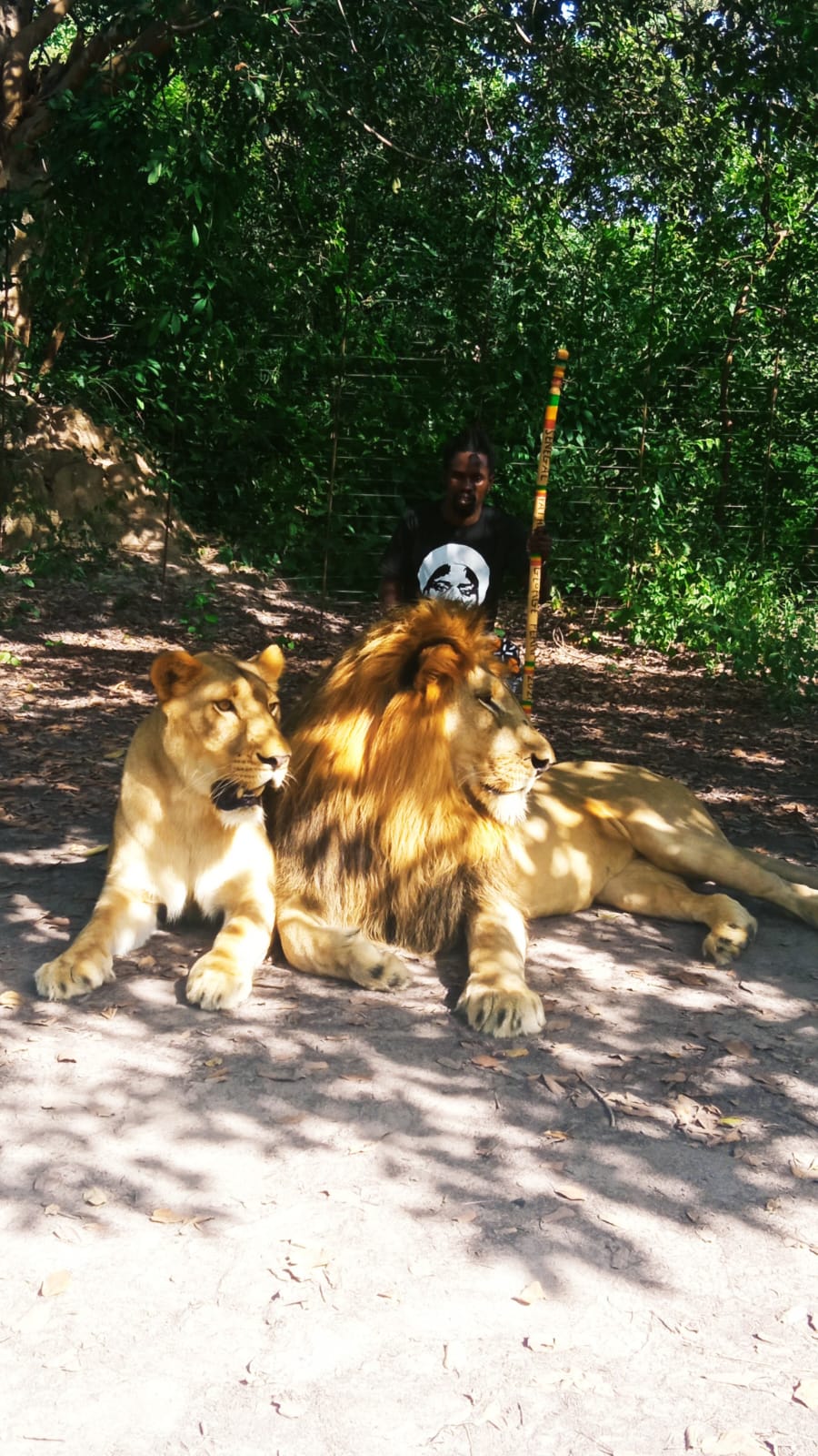 Excursión a Fathala