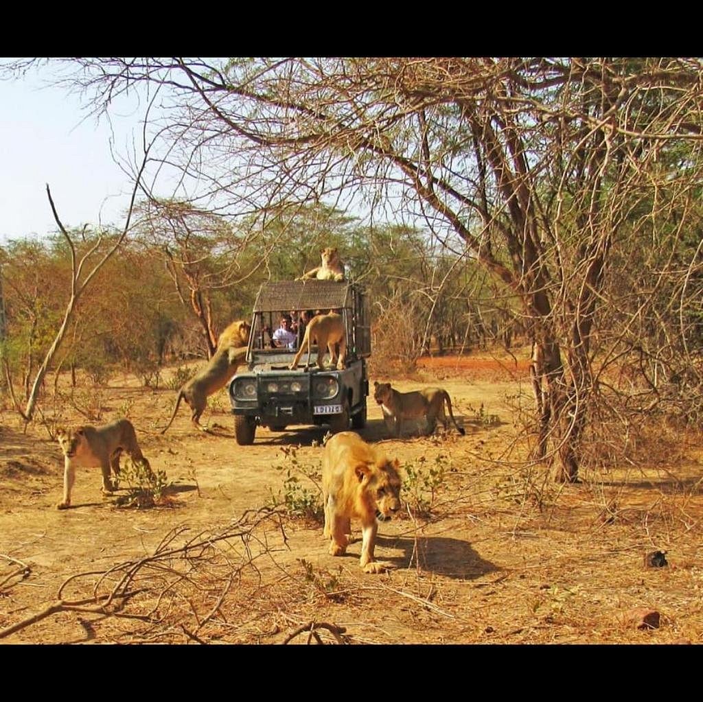 Excursión al rancho Bandia